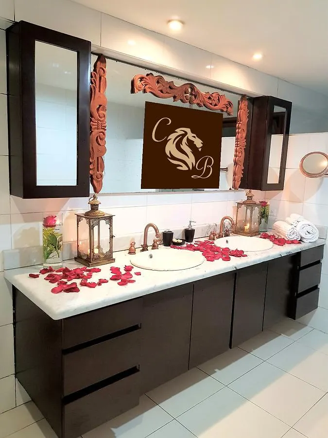 Hotel Casa Ballarin Cartagena