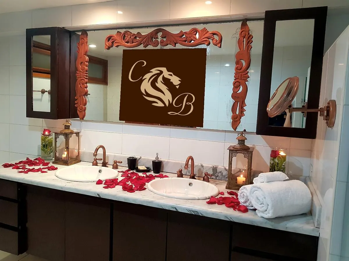 Hotel Casa Ballarin Cartagena 4*,